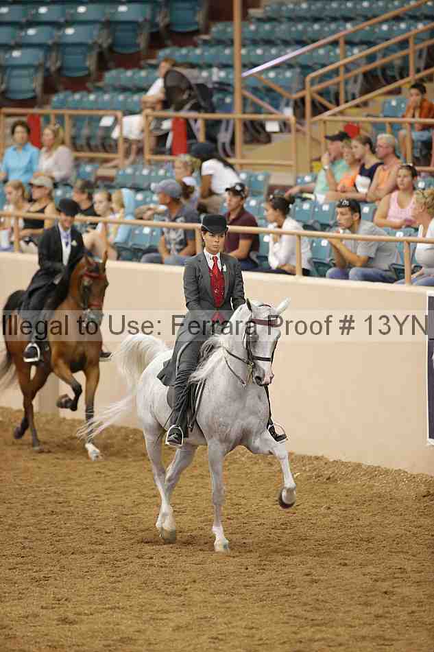 Proof 13yn_03955