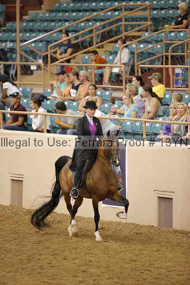 Proof 13yn_03956