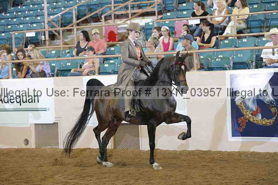 Proof 13yn_03957