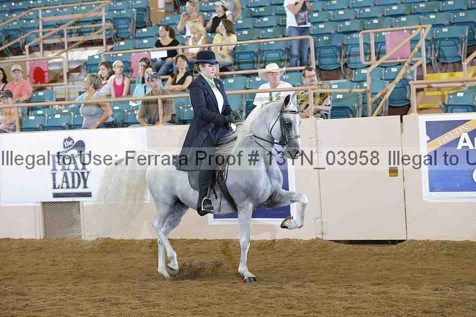 Proof 13yn_03958