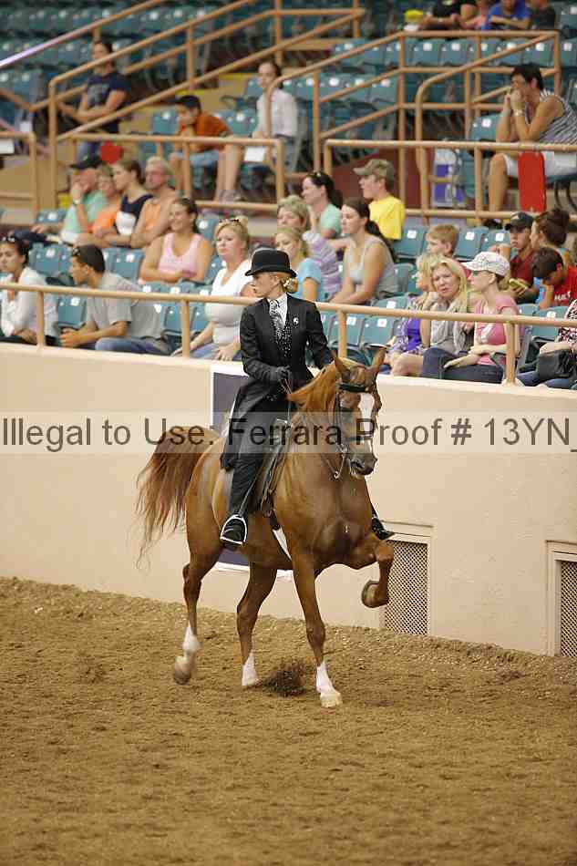 Proof 13yn_03959
