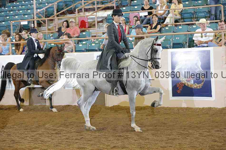 Proof 13yn_03960
