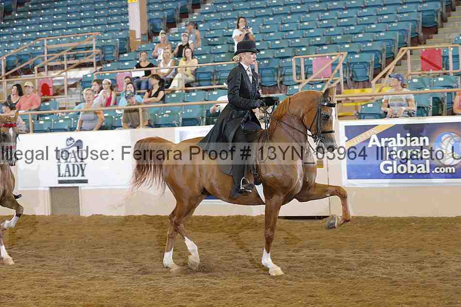 Proof 13yn_03964