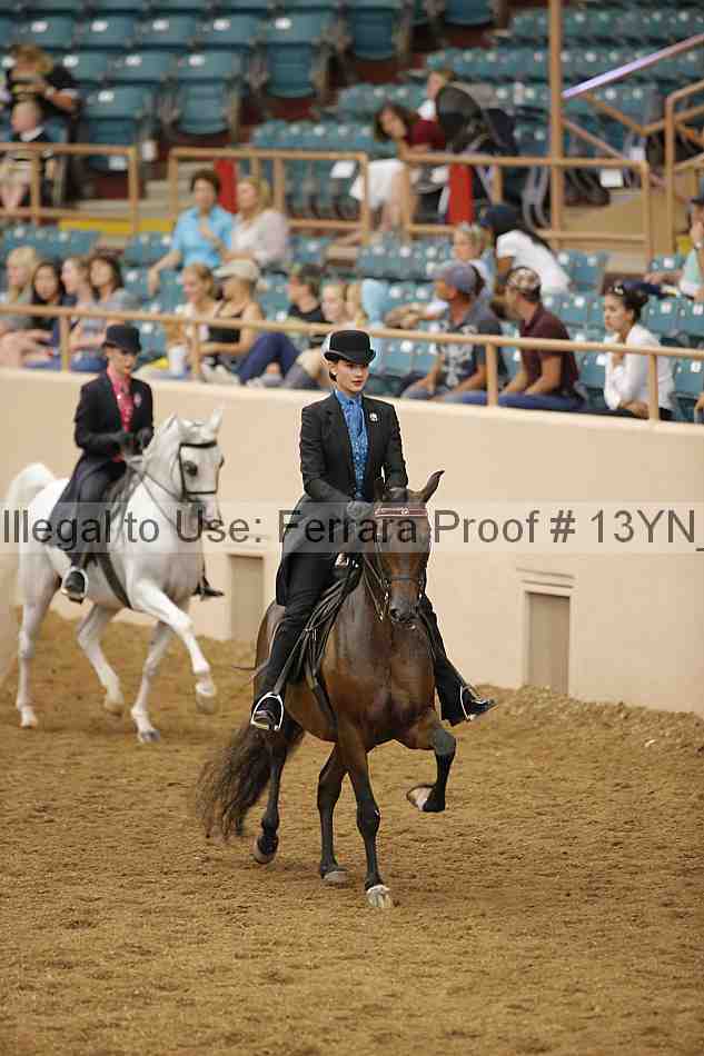 Proof 13yn_03965