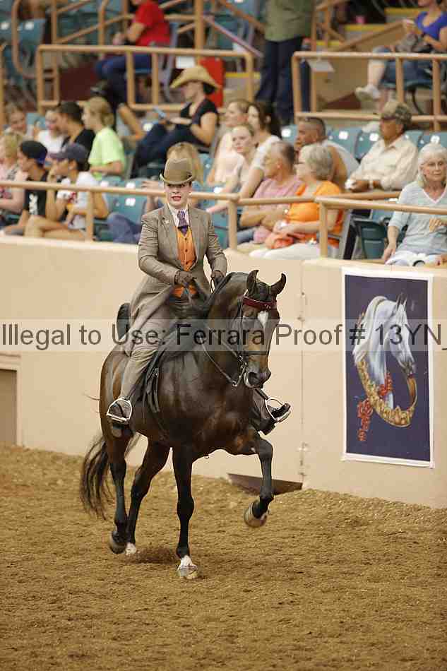 Proof 13yn_03971
