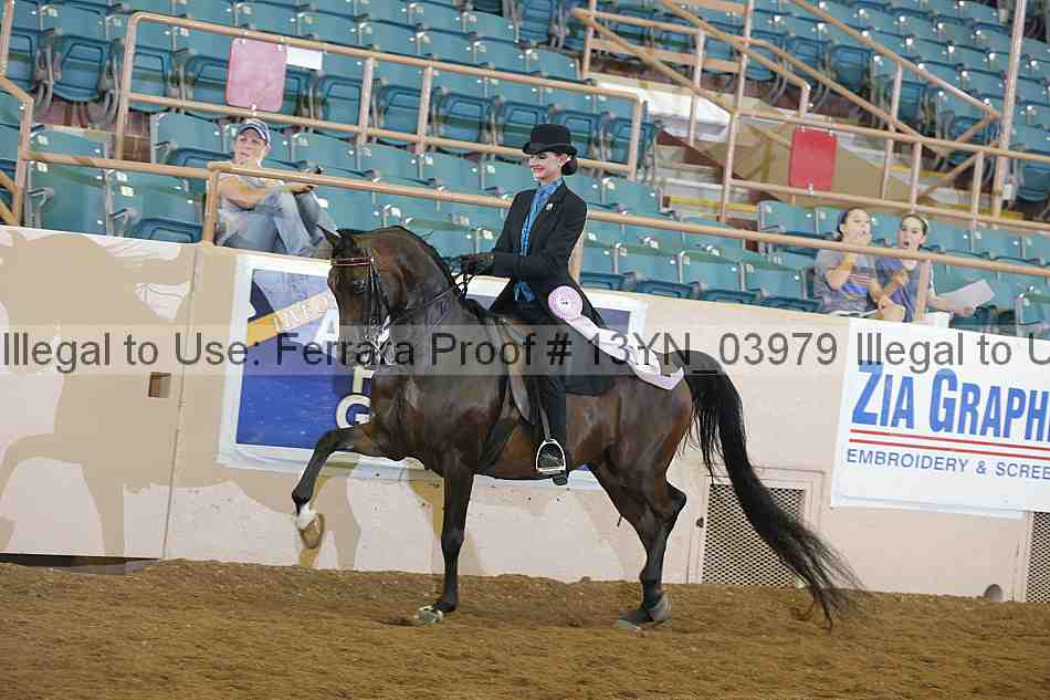 Proof 13yn_03979