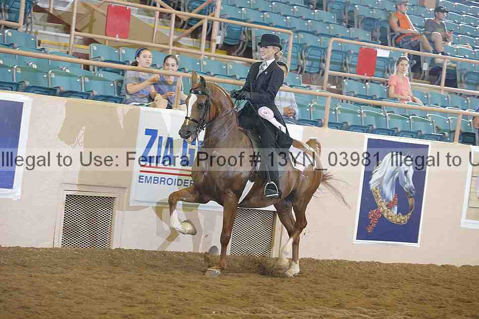 Proof 13yn_03981