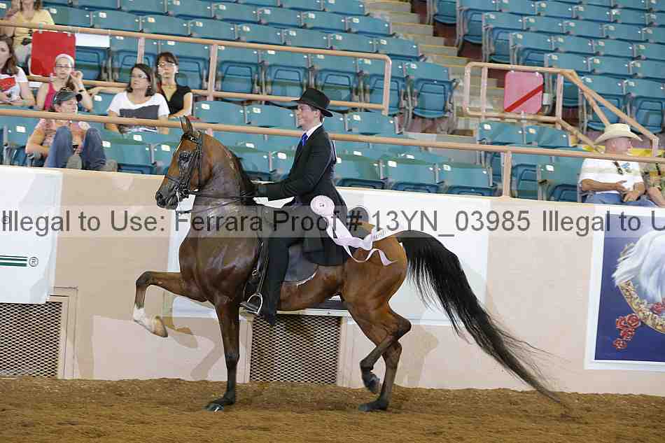 Proof 13yn_03985