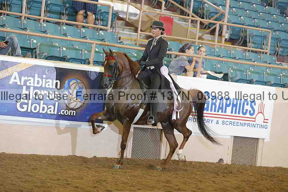 Proof 13yn_03988