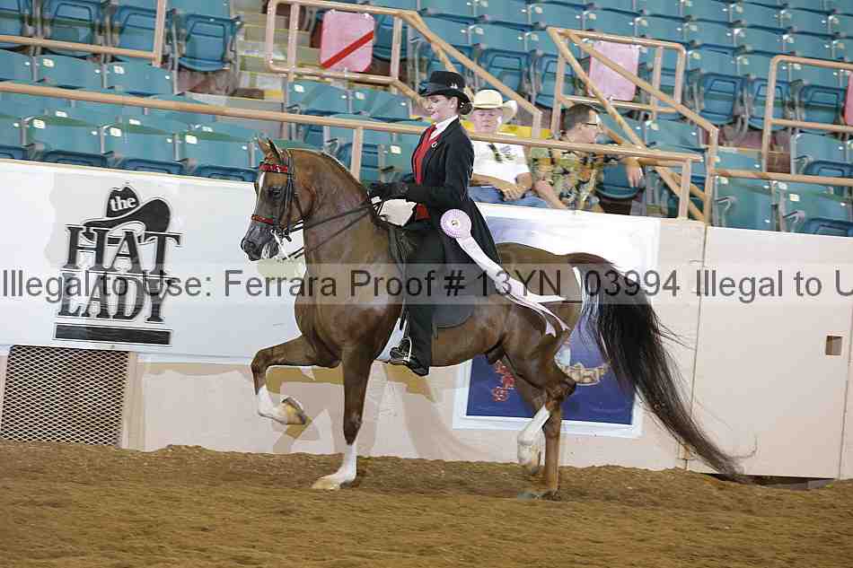 Proof 13yn_03994