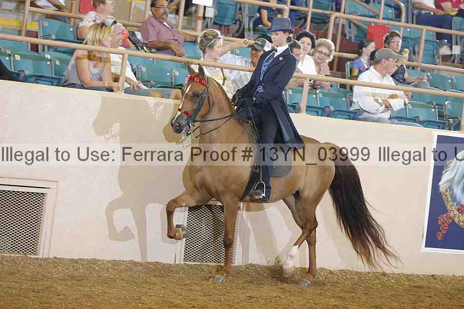 Proof 13yn_03999