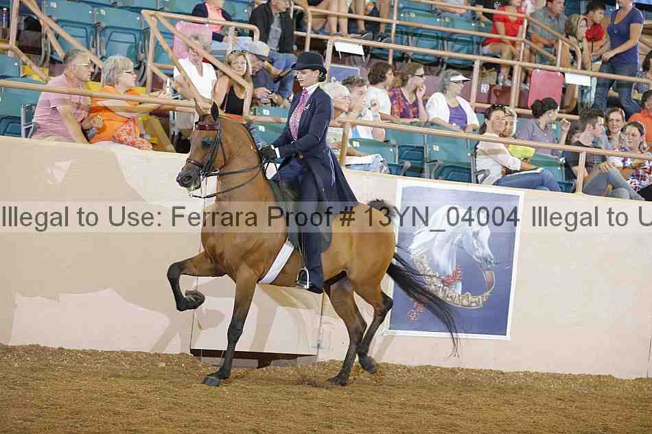 Proof 13yn_04004