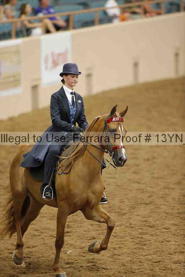 Proof 13yn_04005