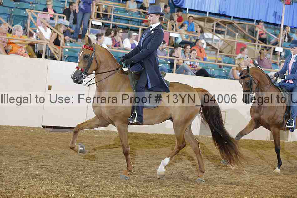 Proof 13yn_04006