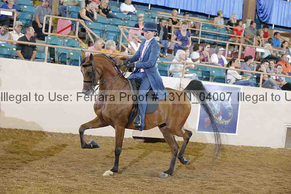 Proof 13yn_04007