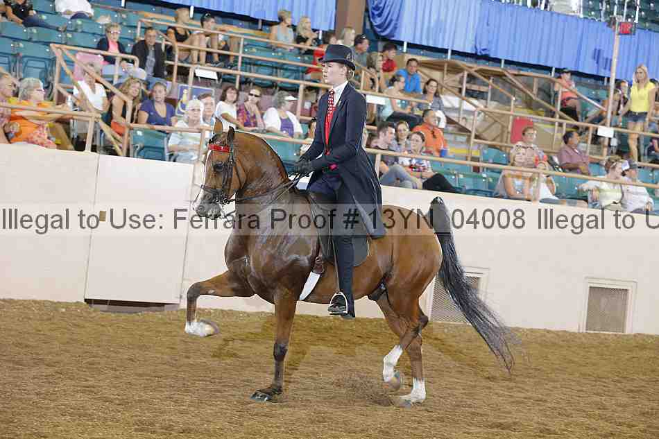 Proof 13yn_04008