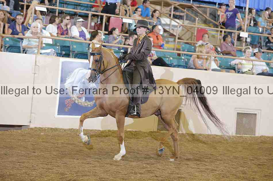 Proof 13yn_04009