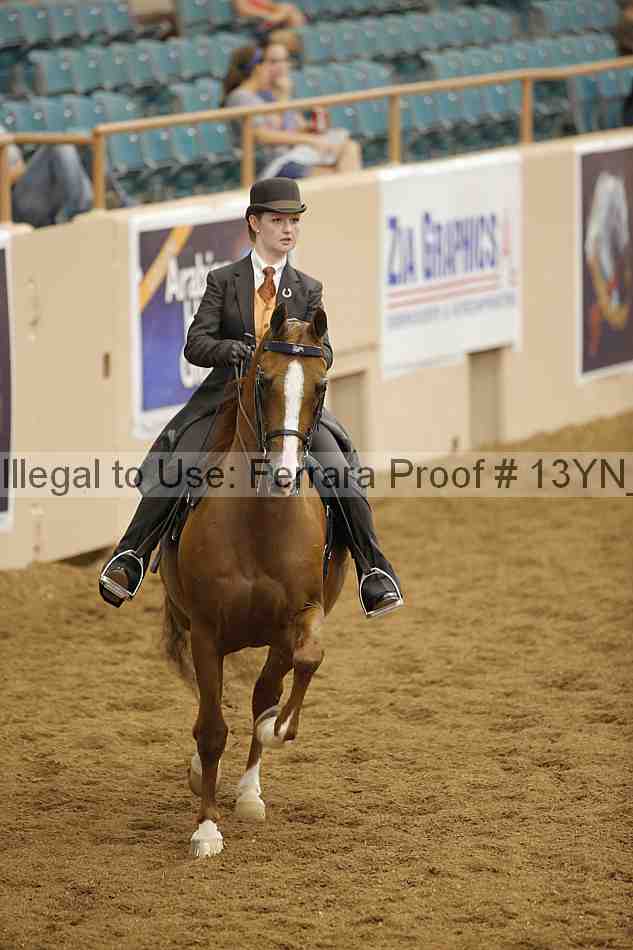 Proof 13yn_04010