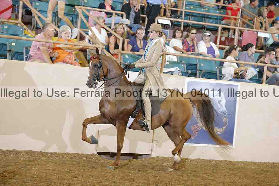 Proof 13yn_04011