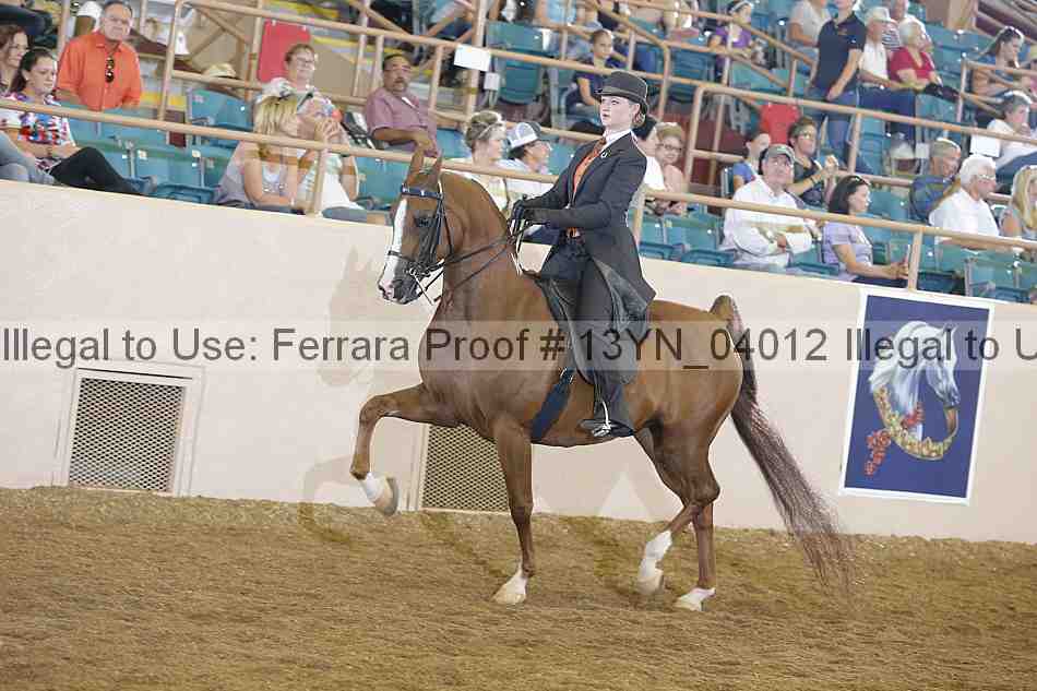 Proof 13yn_04012