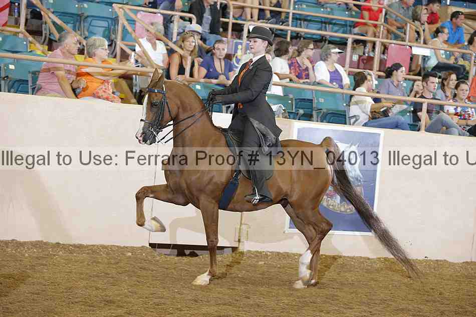 Proof 13yn_04013
