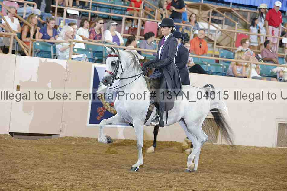 Proof 13yn_04015