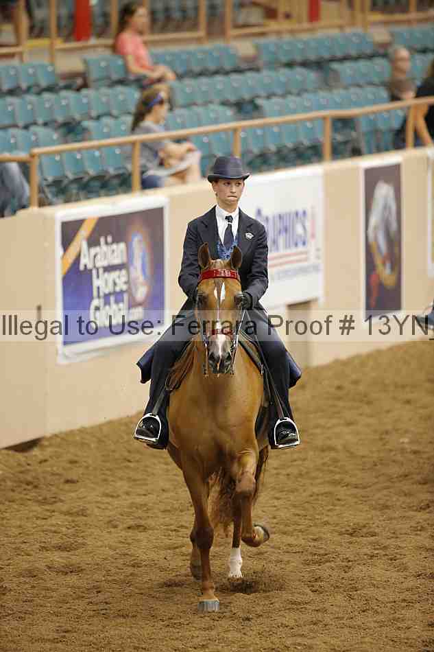 Proof 13yn_04017