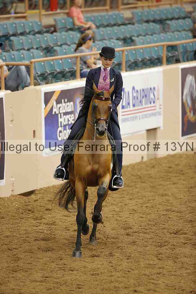 Proof 13yn_04019
