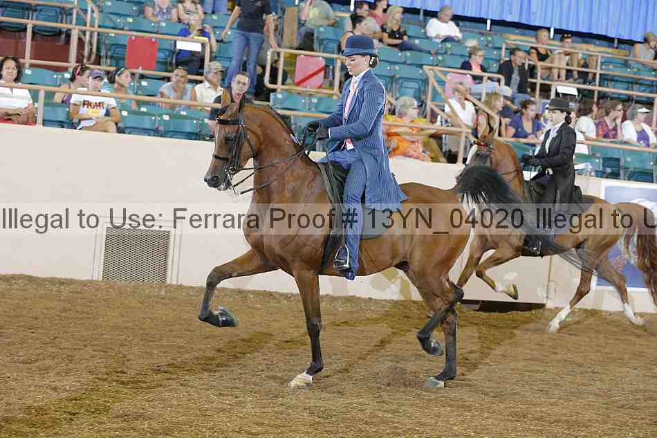 Proof 13yn_04020