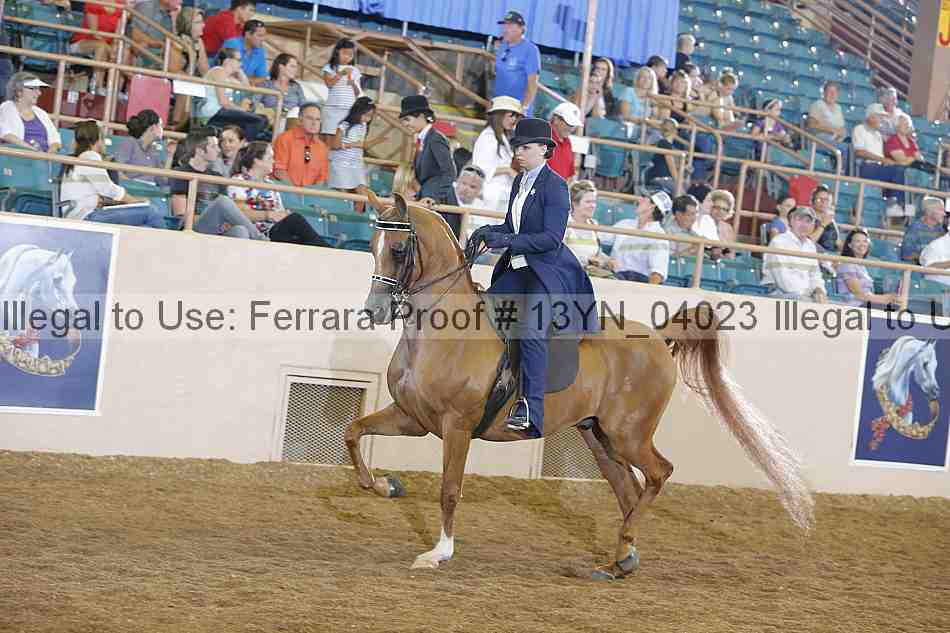 Proof 13yn_04023