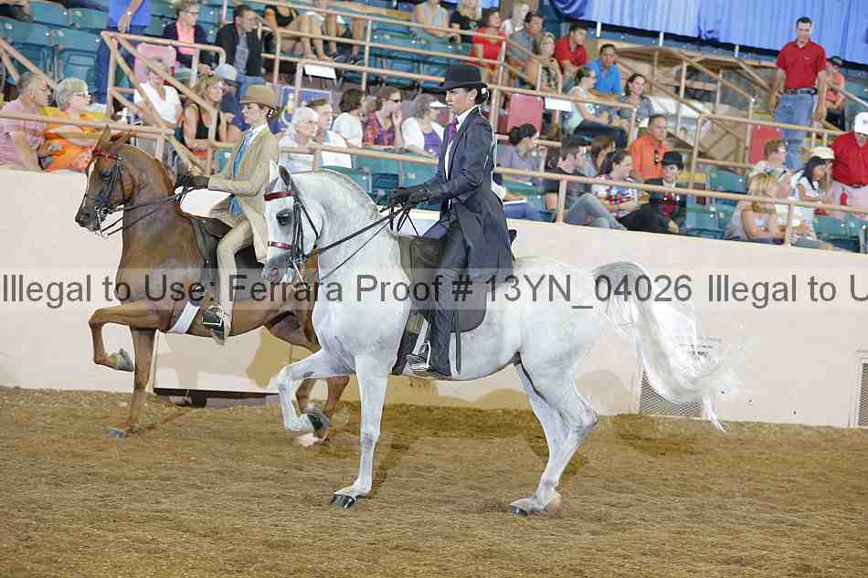 Proof 13yn_04026