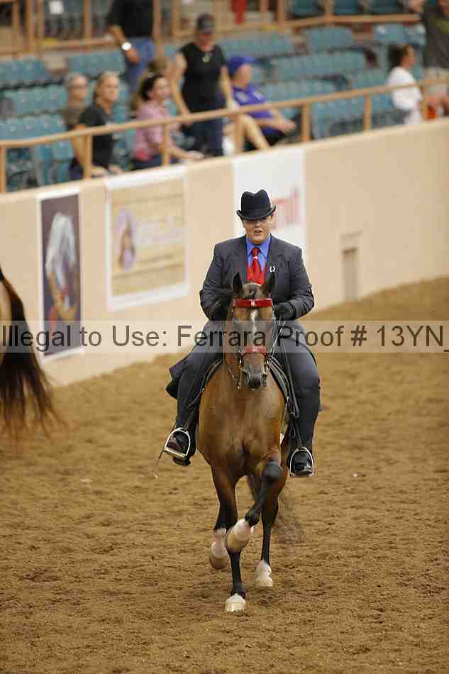 Proof 13yn_04027