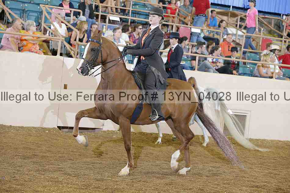 Proof 13yn_04028