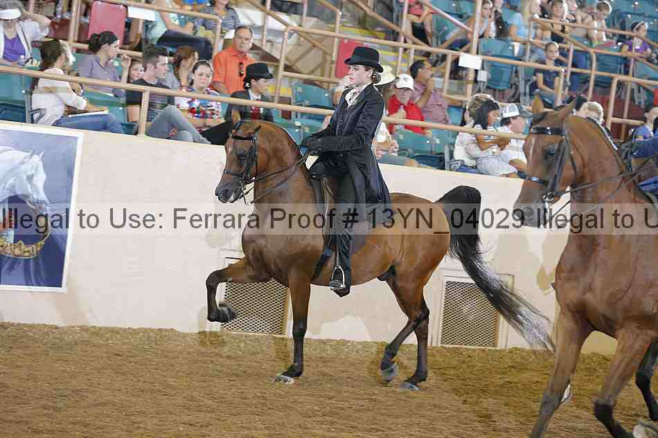 Proof 13yn_04029