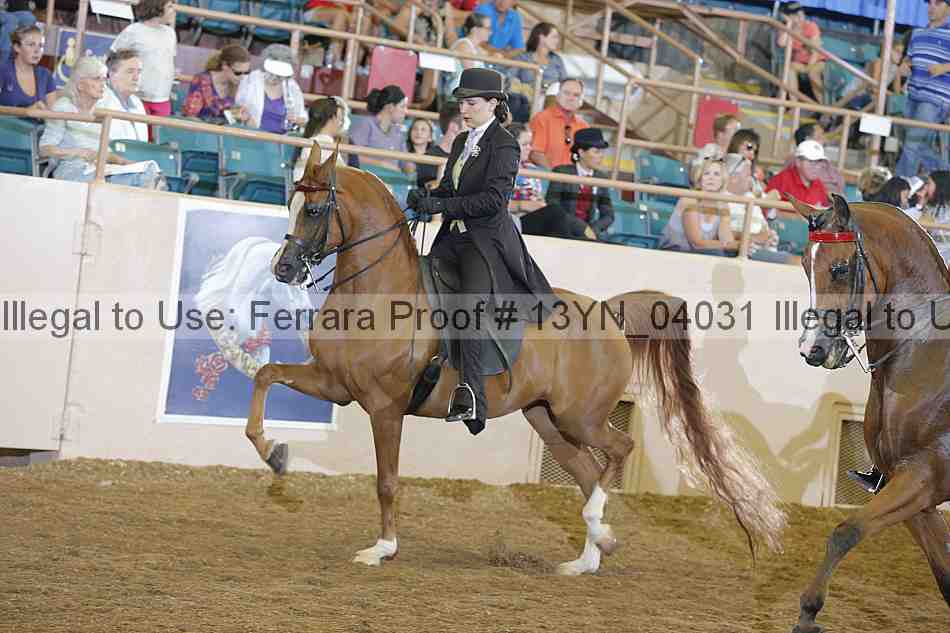 Proof 13yn_04031