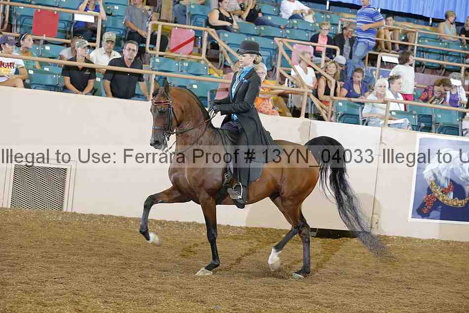 Proof 13yn_04033