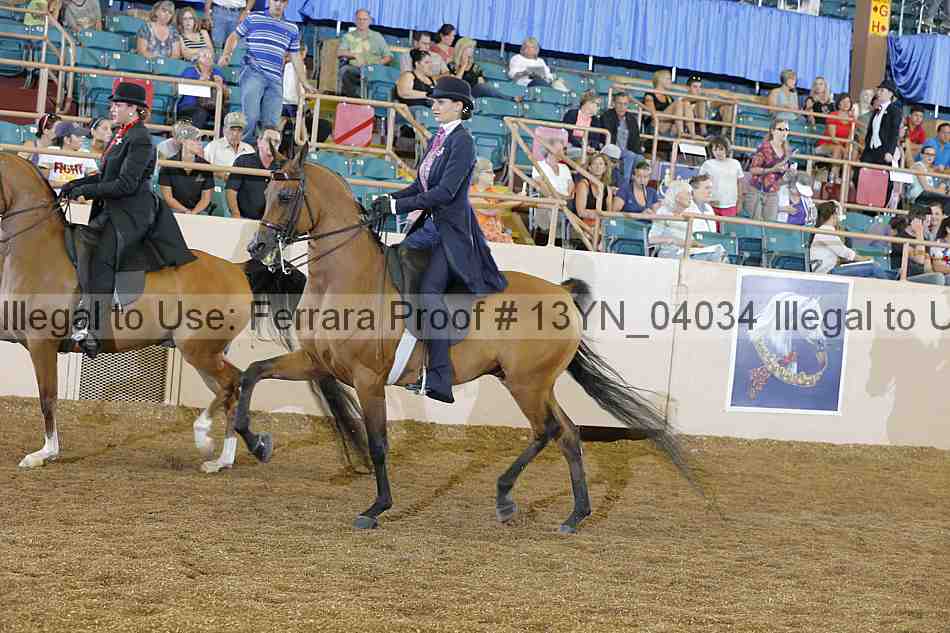 Proof 13yn_04034
