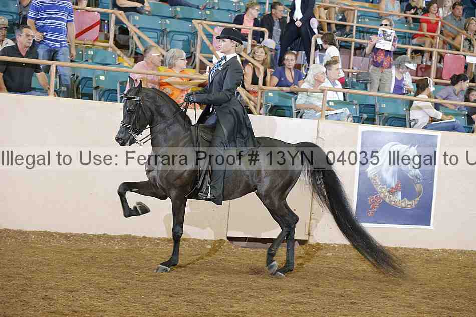 Proof 13yn_04035