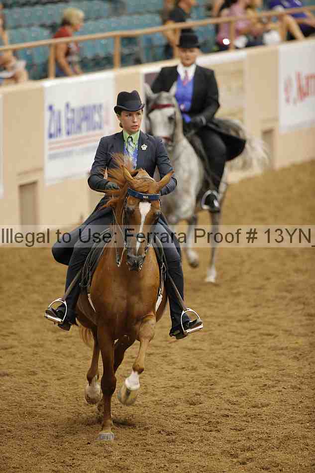 Proof 13yn_04036