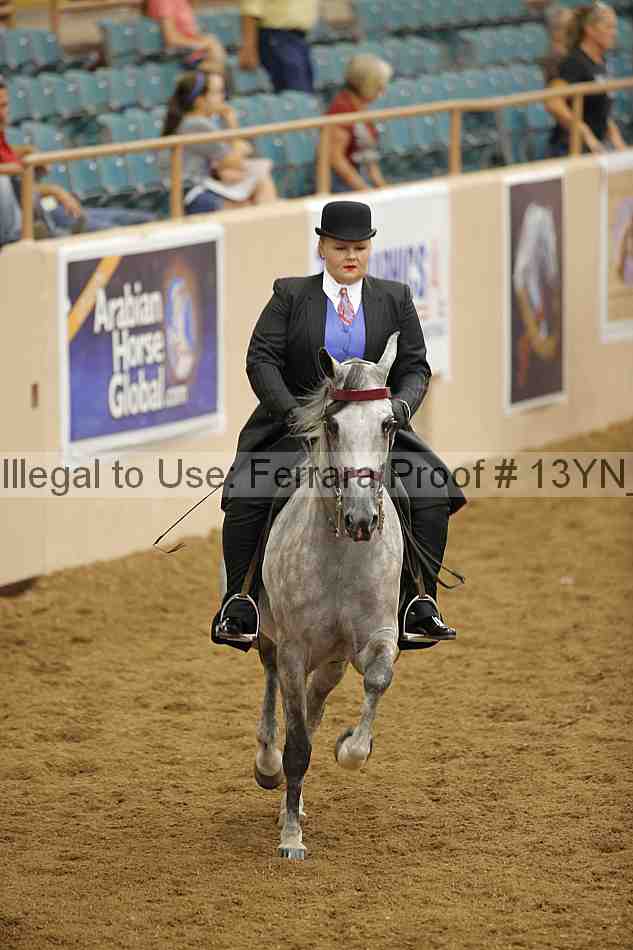 Proof 13yn_04037