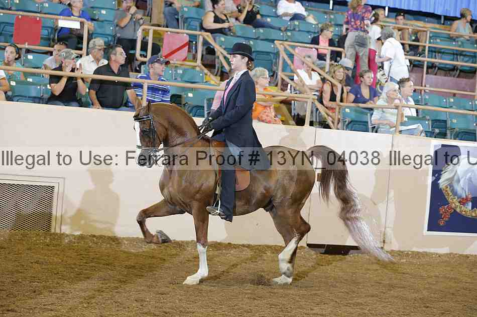 Proof 13yn_04038