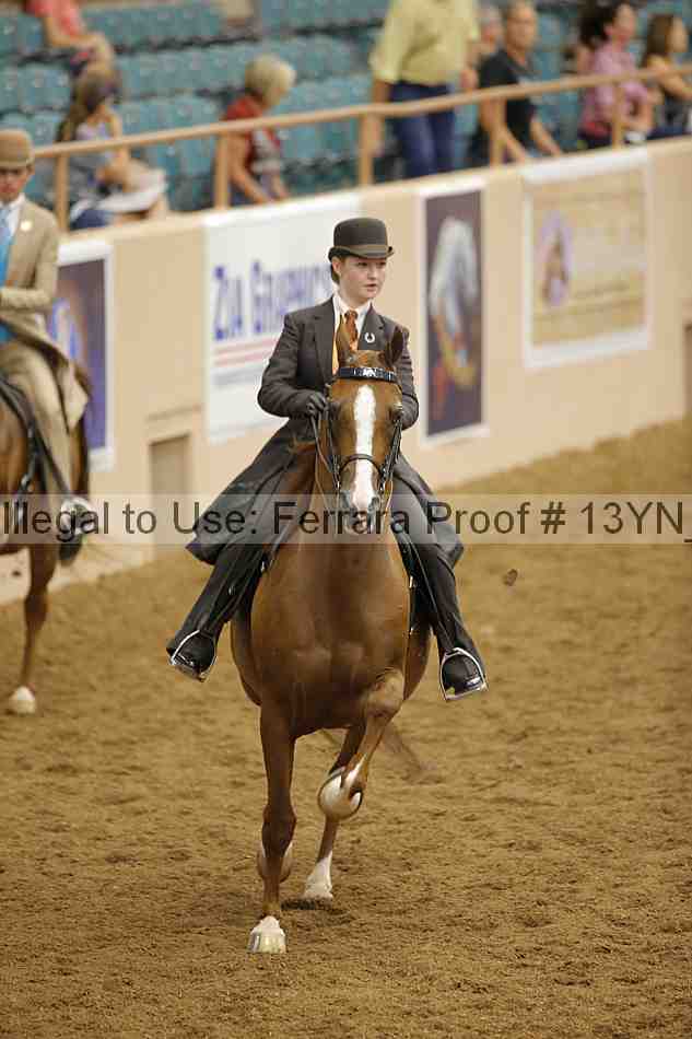Proof 13yn_04039
