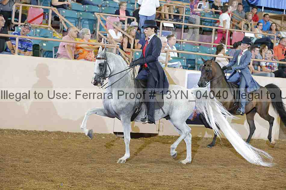 Proof 13yn_04040