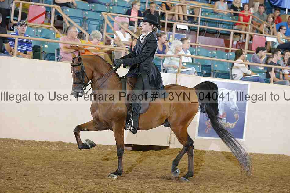 Proof 13yn_04041