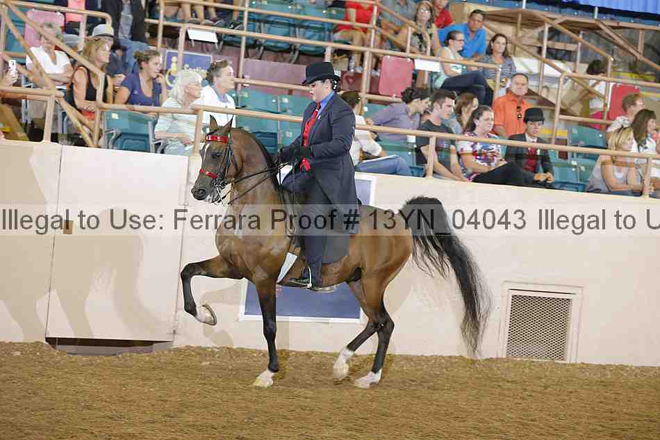 Proof 13yn_04043