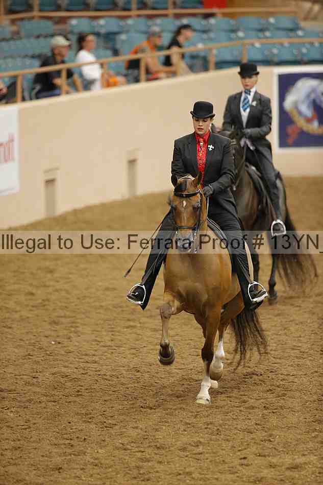 Proof 13yn_04044