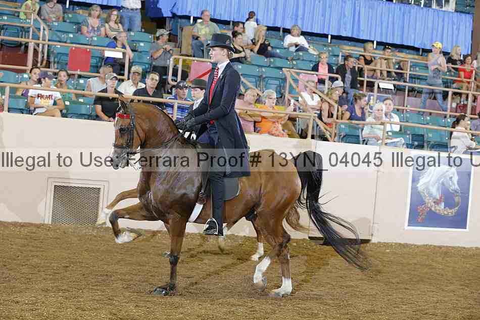 Proof 13yn_04045