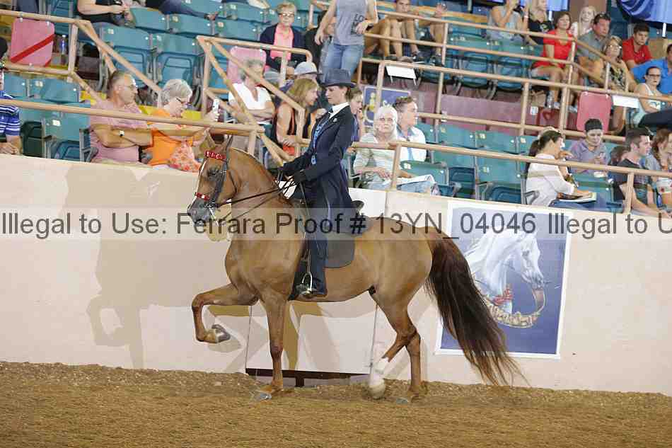 Proof 13yn_04046