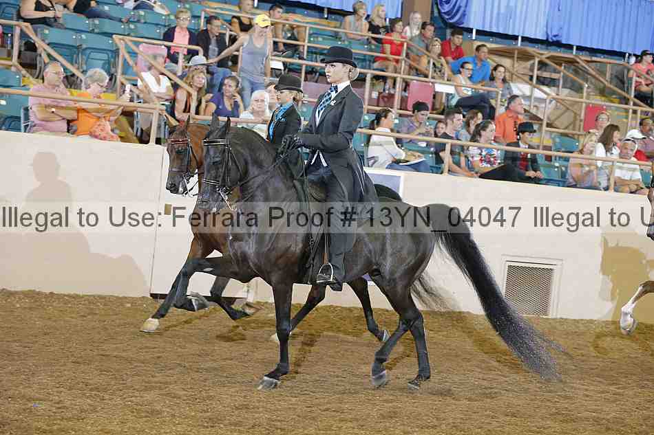 Proof 13yn_04047