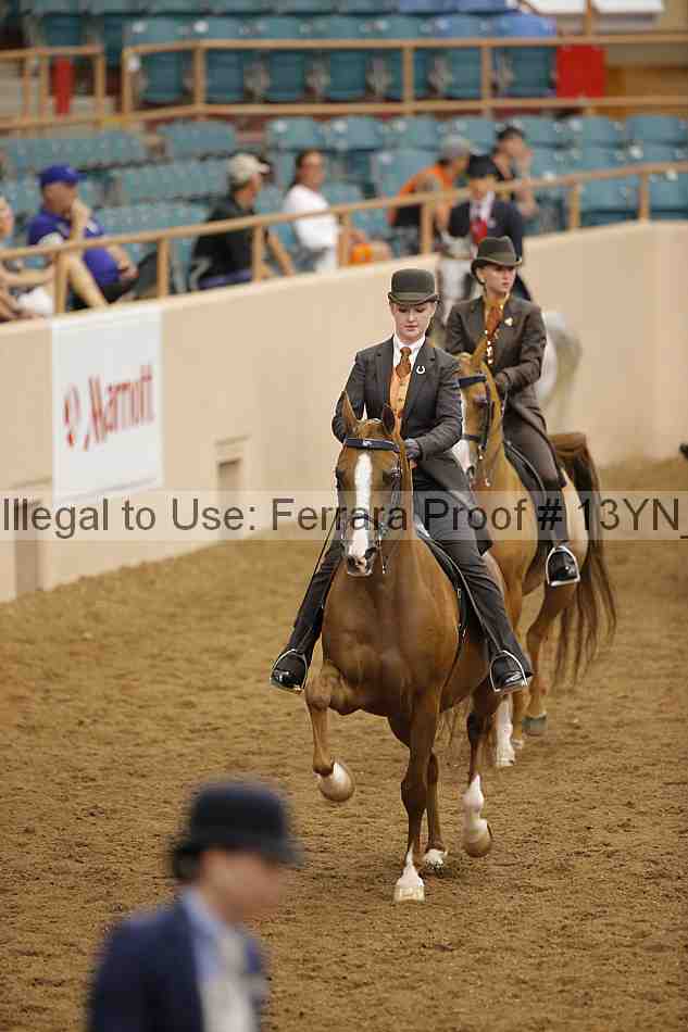 Proof 13yn_04048